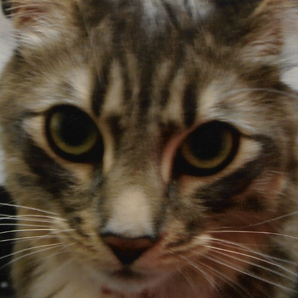 Meet your Posher, Jeanne